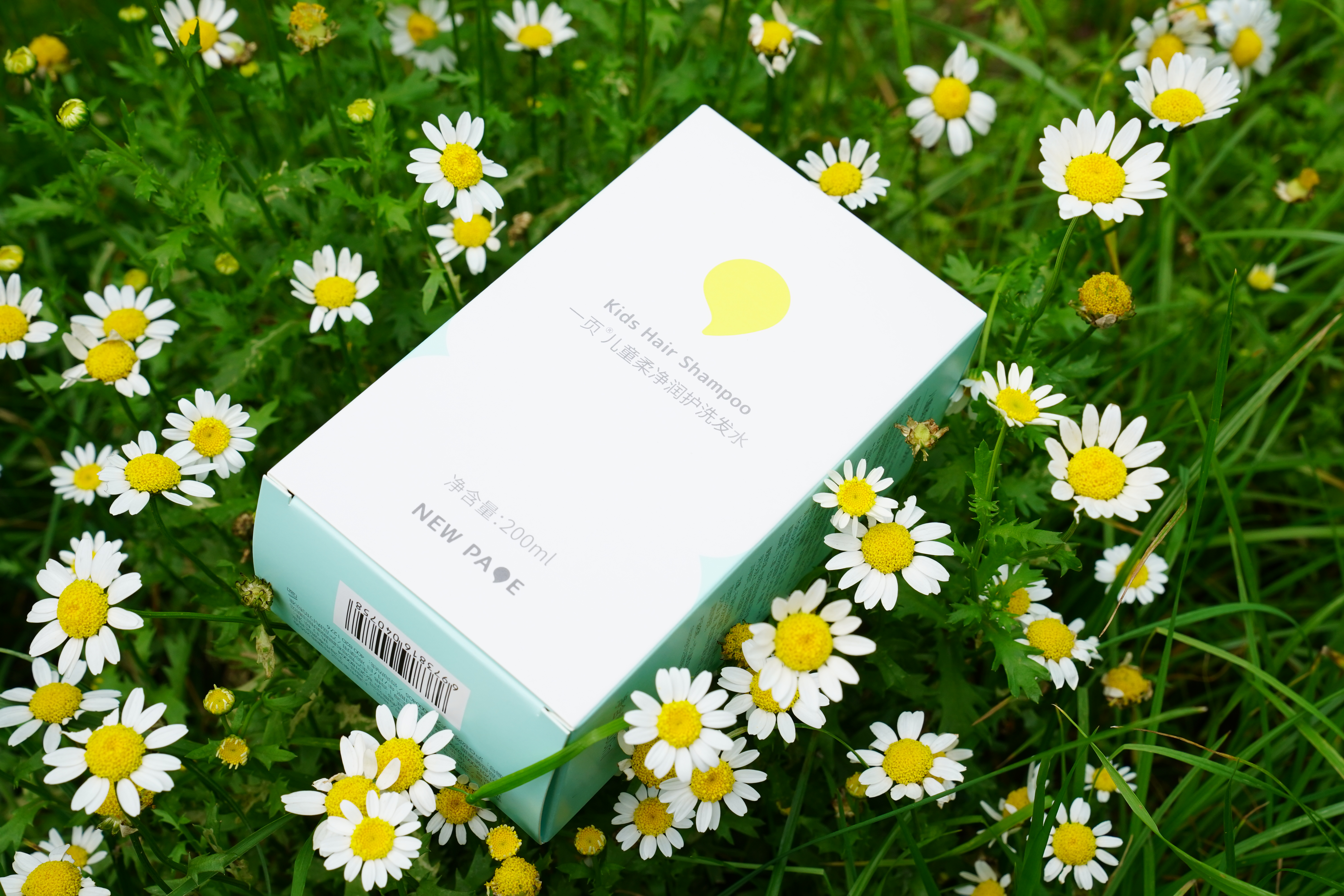 Superior Quality and Professional Finish Standards