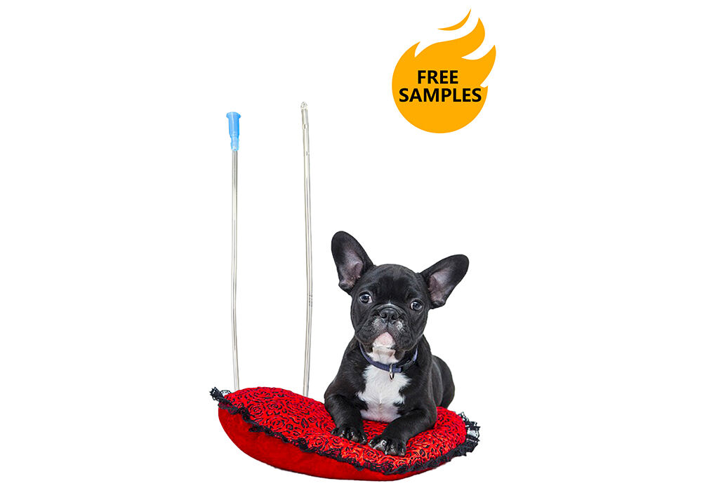 Single Lumen Catheter For Dogs