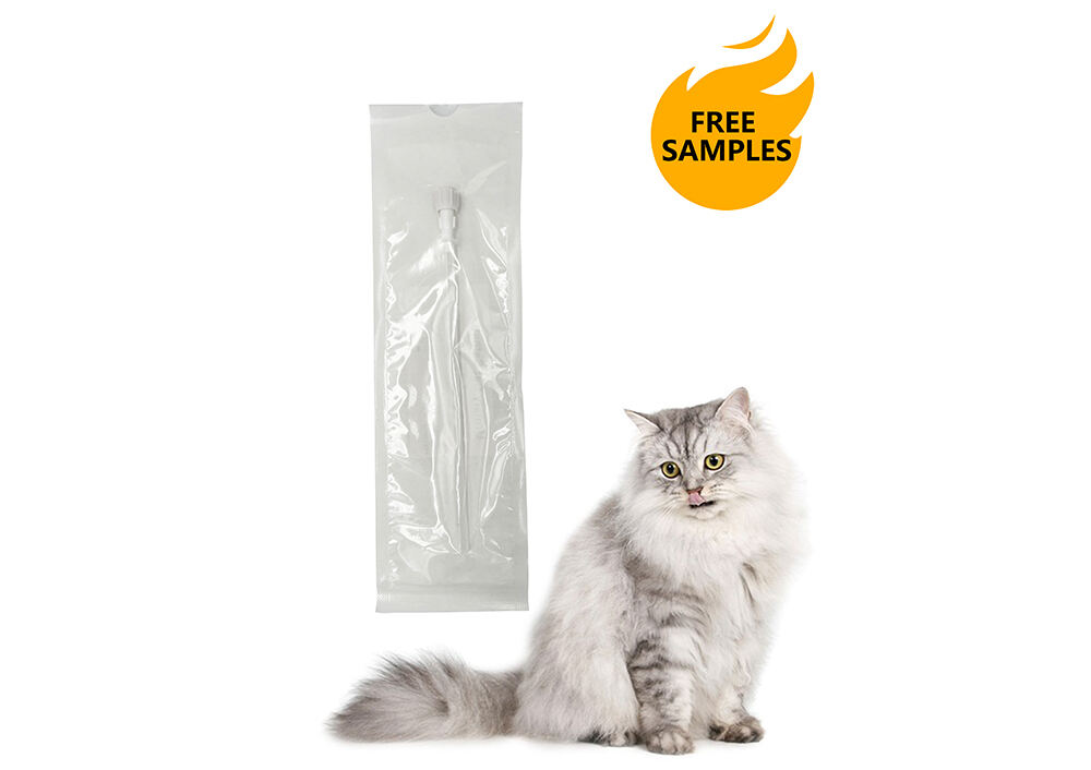 Cat Catheter BC