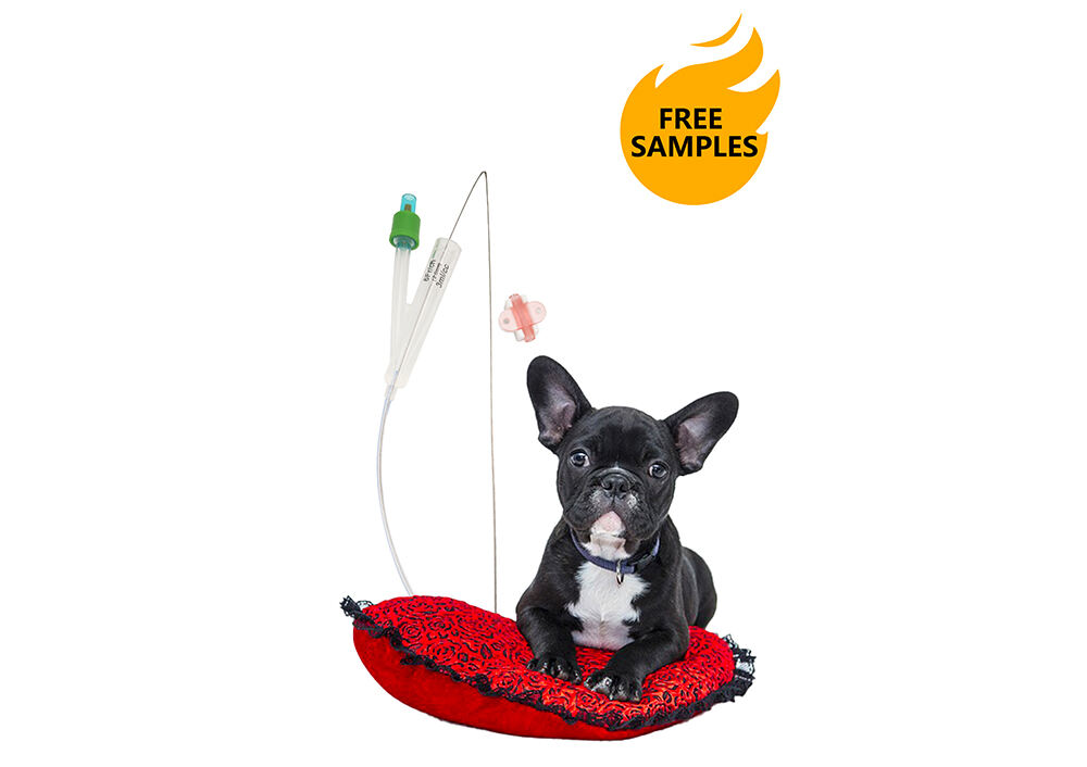 Dog Double Cavity Balloon Silicone Catheter