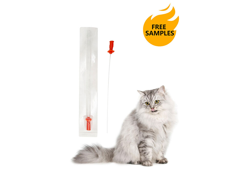 Cat Catheter EC