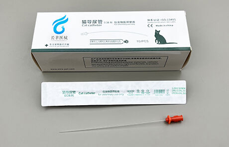 Animal catheters pet care under fine medicine