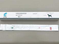 Revolutionary Dog Catheters Transforming Veterinary Care