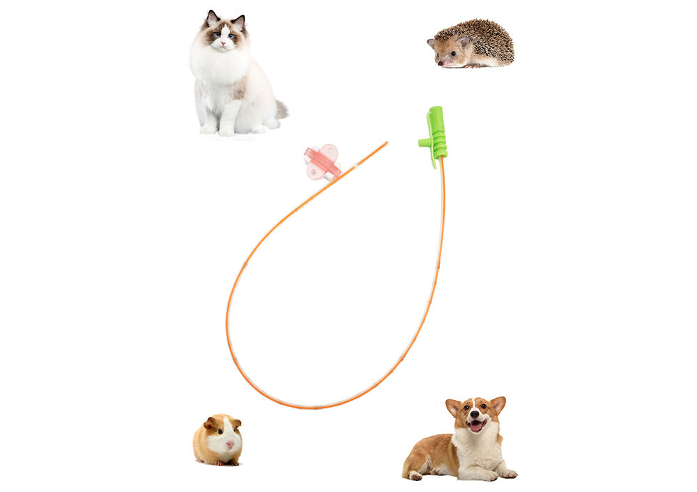 Small animal feeding tube