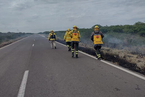 From Peruvian forest fire