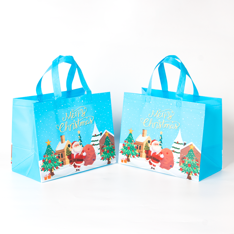 Environmental Sustainability and Economic Benefits