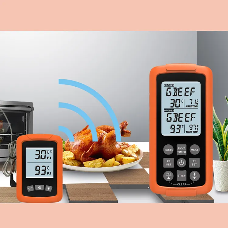 Meat Thermometers: A Key Tool for Professional and Home Kitchens 