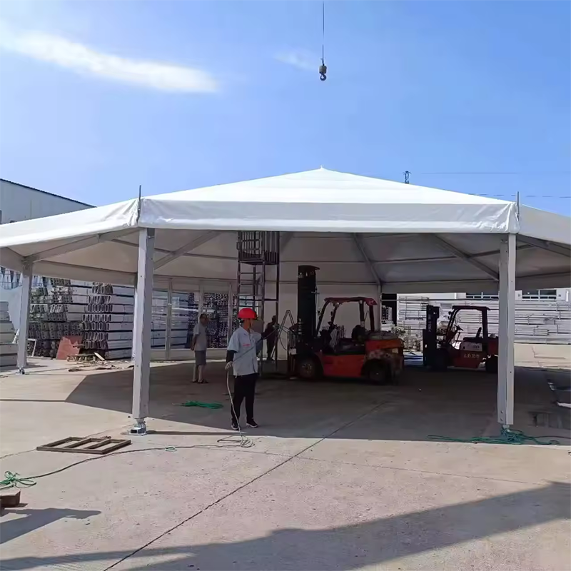 activities exhibition tent customized aluminum frame large canopy tent new design outdoor party tent-103