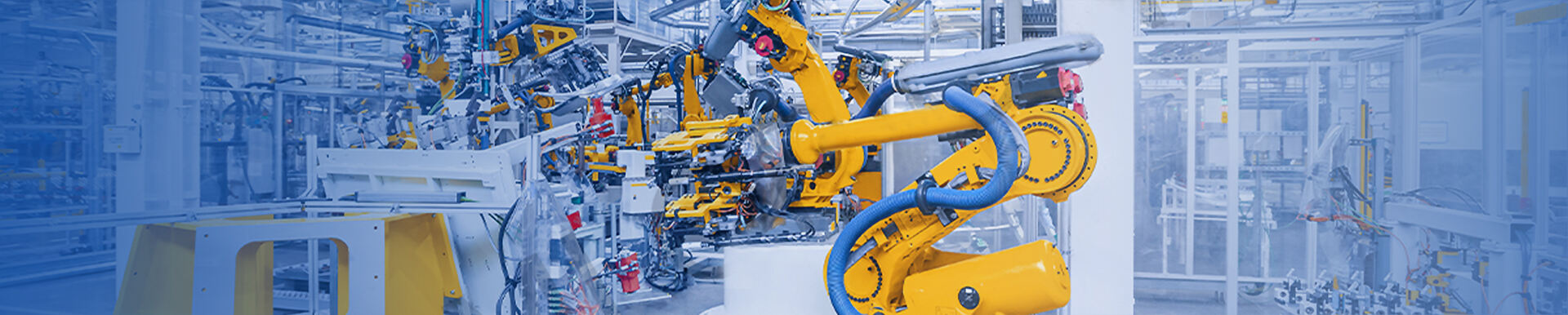 WHY CHOOSE IZUMI ORIGINAL