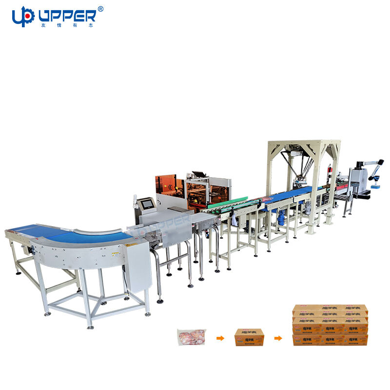 Large size items fully automatic carton packing, sealing, and palletizing packaging system with robot