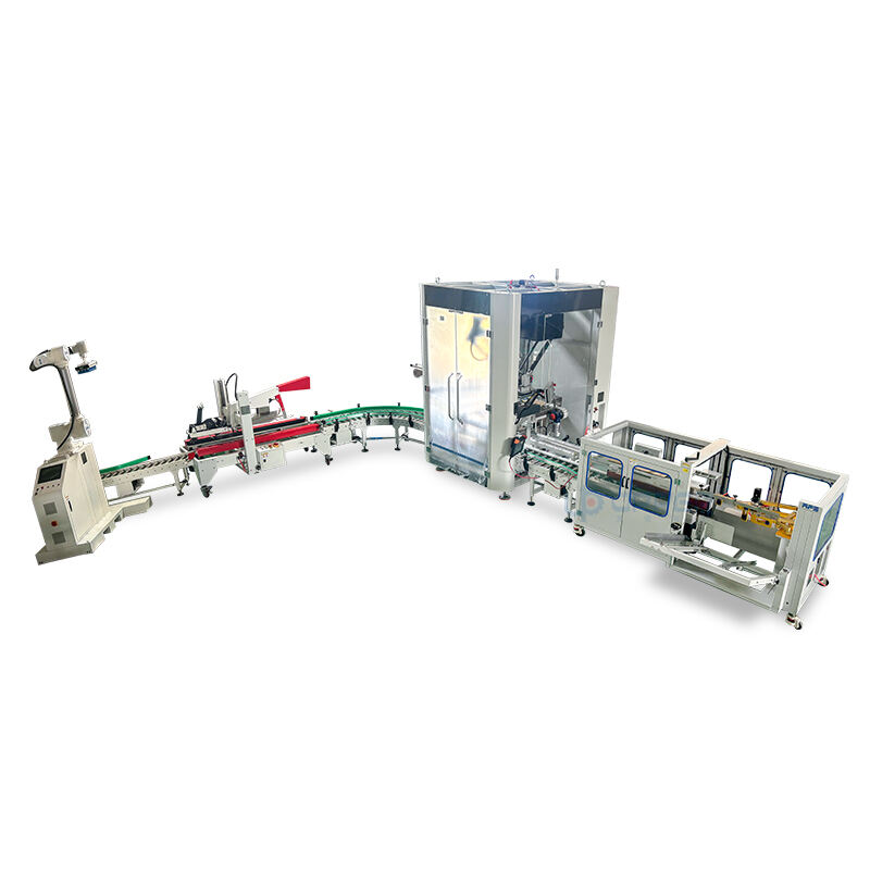 Dried meat floss cake fully automatic carton packing sealing machine, and palletizing machine