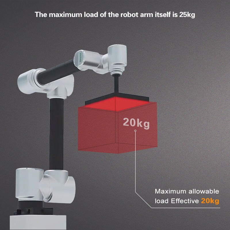 Robot Palletizer Transport robotic arm Six axis robotic arm | Case ...