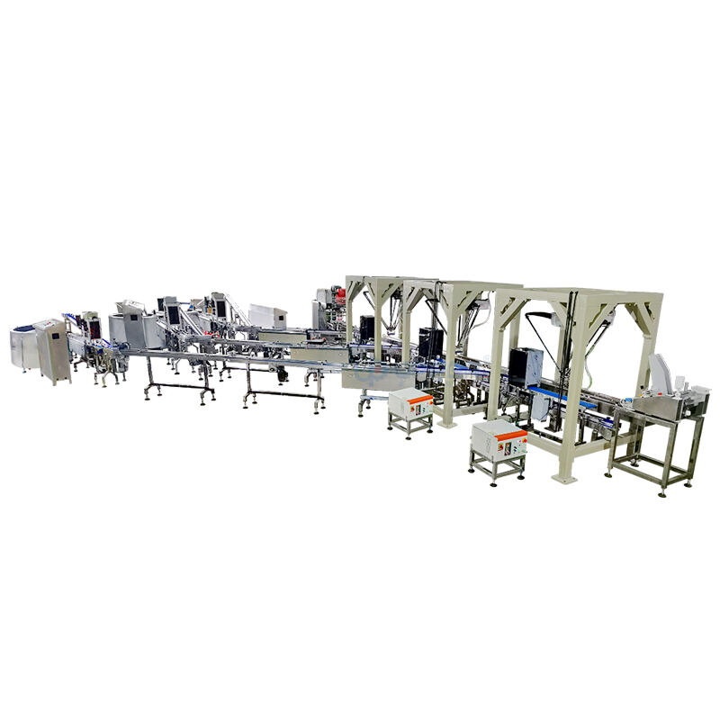 Intelligent Customization, Flexible Future: The Transformation of Automated Food Packaging Lines