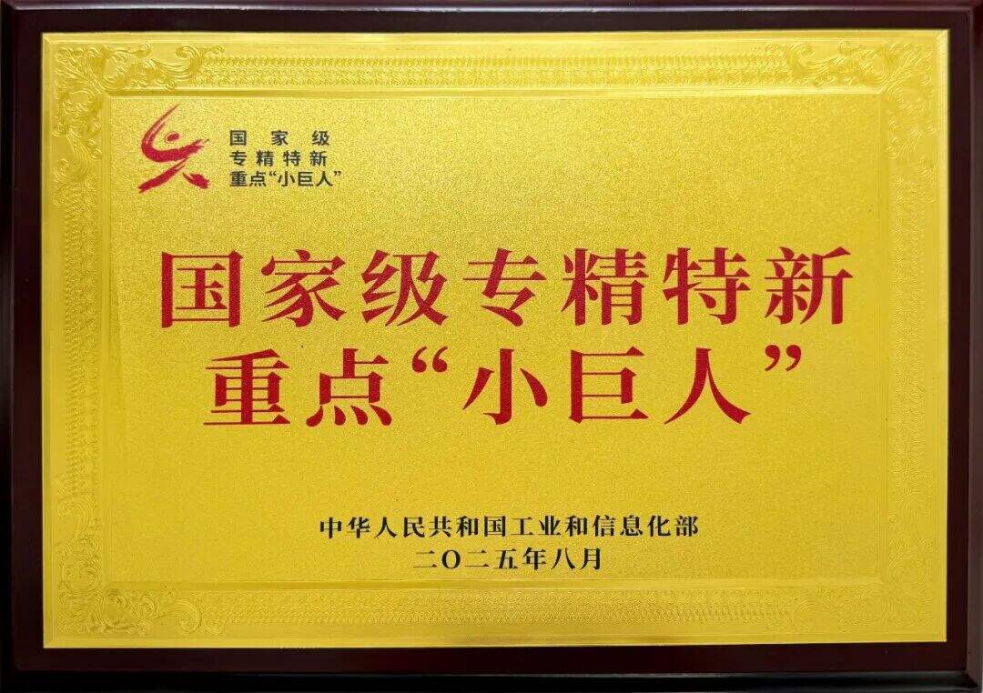 Shandong Kangwo Holding Earns National “Little Giant” Honor for Specialized, Sophisticated, Distinctive, and Innovative Enterprises!