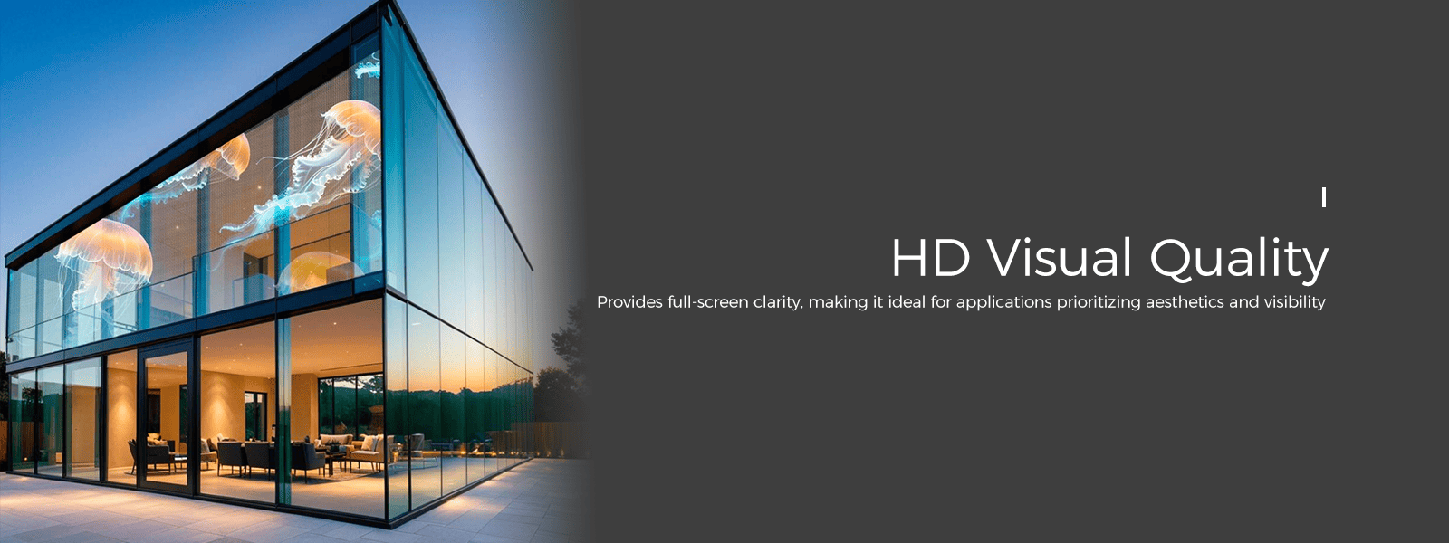 HoloMesh Transparent  LED Display (3).png
