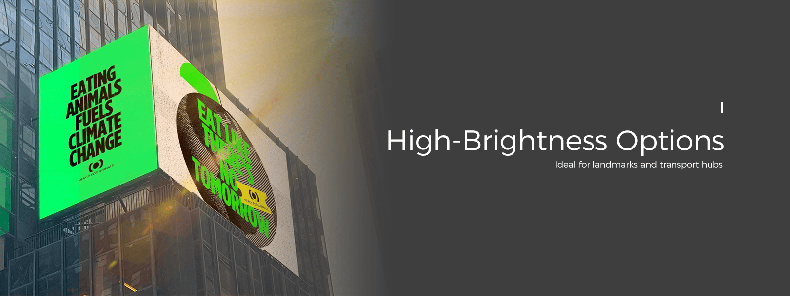 DuraPanel Pro Outdoor Fixed LED Display (2).png