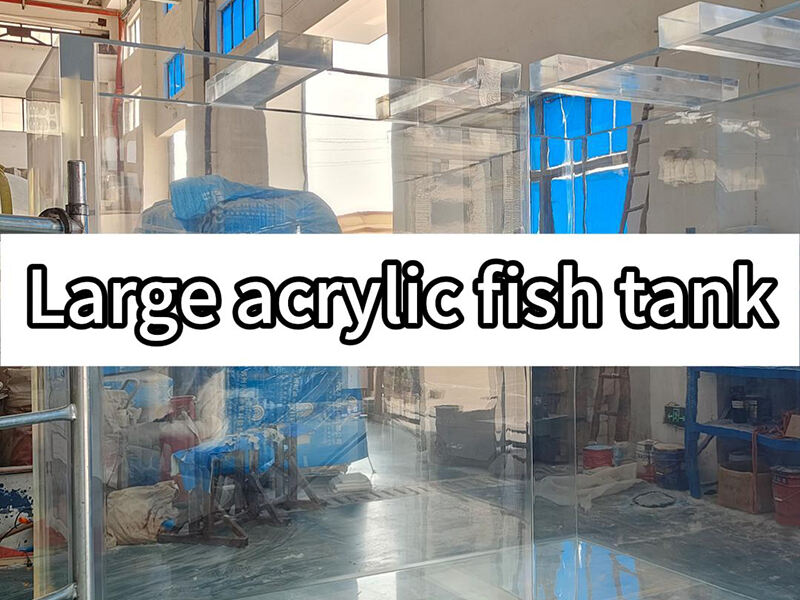 Büyük akrilik balık havuzu