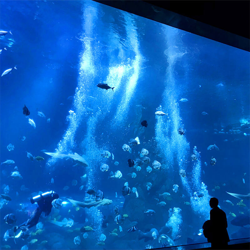 고품질 투명 아크릴 시트 패널 수족관 프로젝트