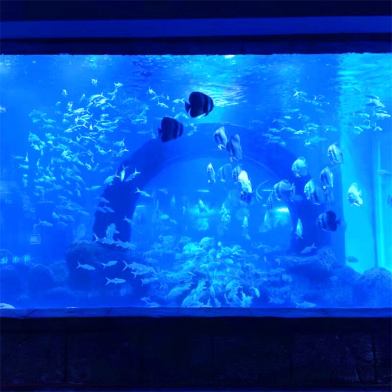 на заказ прозрачный акриловый стеклянный лист акриловой аквариумная цена