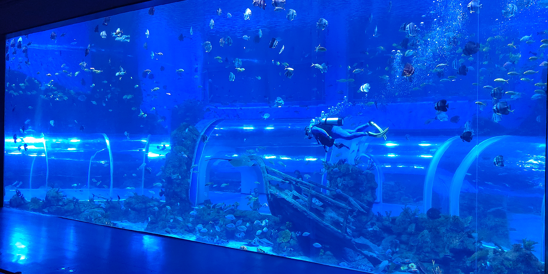 Professional Manufacture For Aquariums And Extra Large Thick Panels On-Site Splicing Support