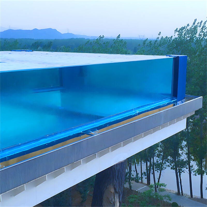 맞춤형 아크릴 투명 수영장 제조업체