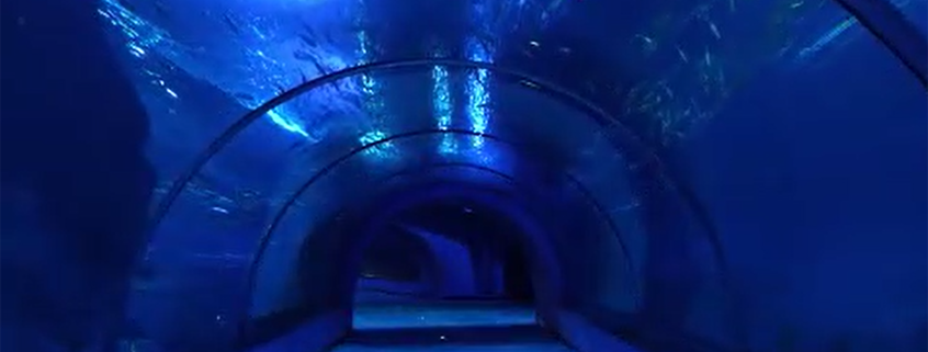 Custom acrylic aquarium project - Aquarium series