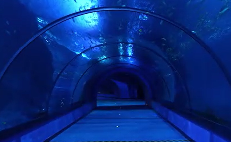 Acrylic aquarium tunnel