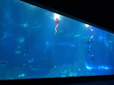 Acrylic oceanarium giant window