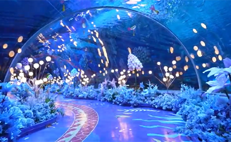 Large aquarium design, production and installation enterprises