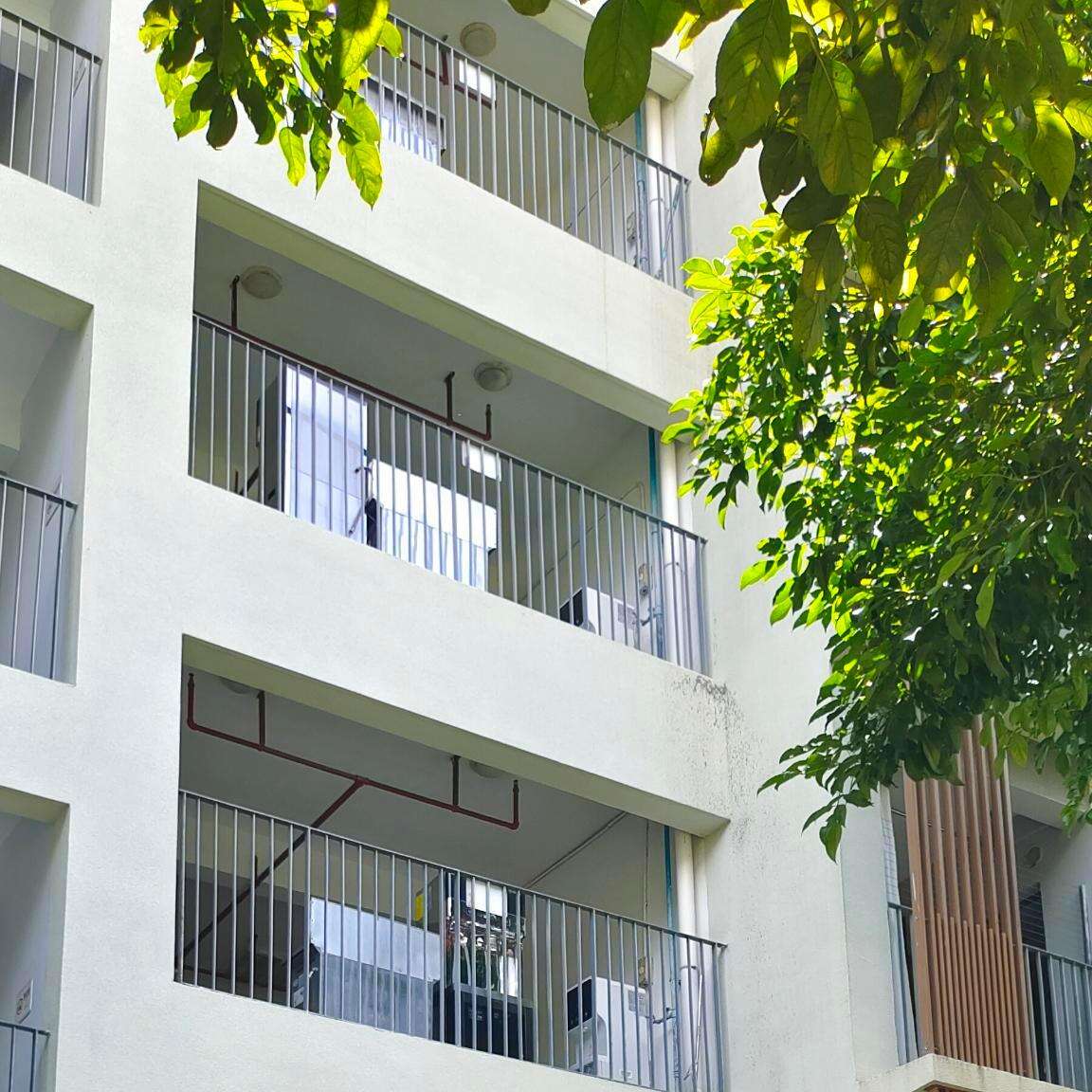 Southern University Of Science And Technology