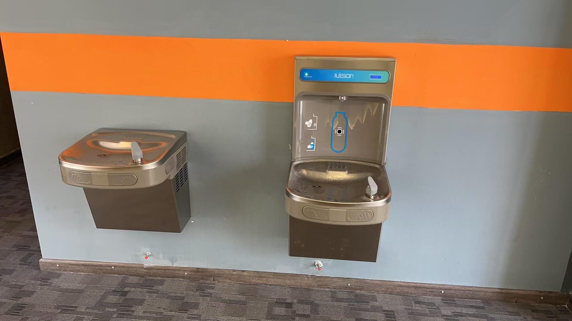 Georgian International School