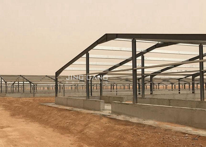 Steel Structure Chicken House