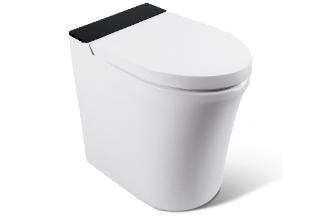 Incinerating Toilet Introduction 