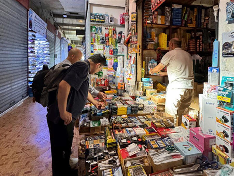 Εστίαση Μέσων: Μια Παγκόσμια Πορεία ενός Μπαταρίας με Κεφάλι Τίγρη