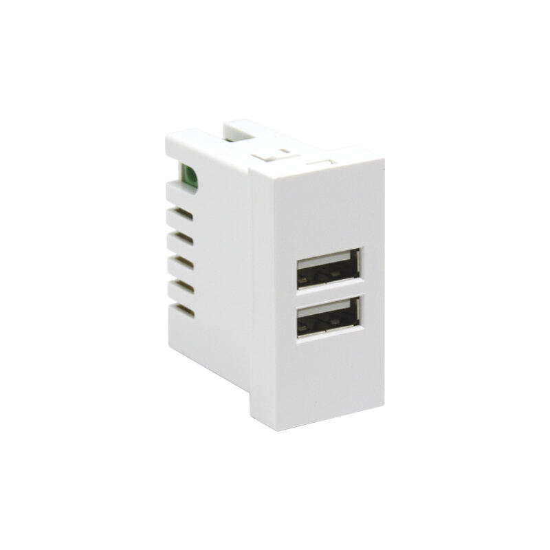 Dubbele Poort Type A+A 10.5W (totaal) F21-C2A