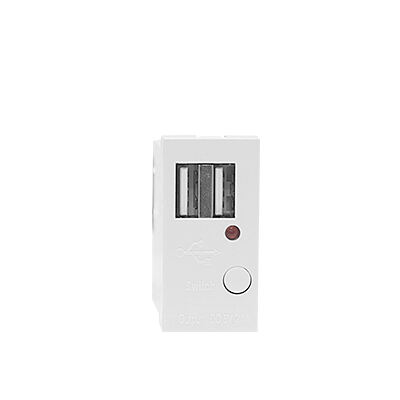 Modular Socket Dual Port Type A+A 10.5W (total) USB Charger F21-C