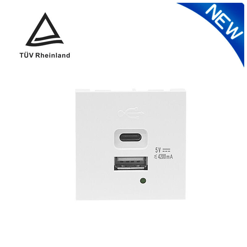 Μοντύλακα Σενδέλισμα Διπλό Πόρτα Type A+C 21W (συνολικά) φορτιστής USB F21-C6