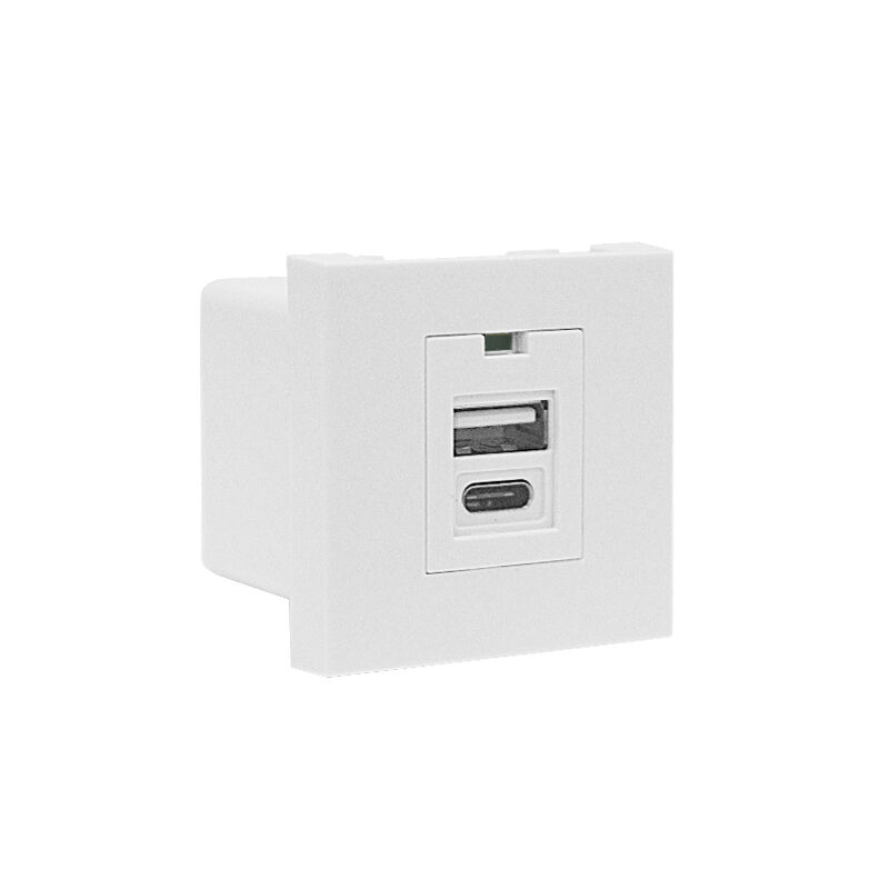 Modulair Soket Dubbele Poort Type A+C 10.5W (totaal) USB Oplader F21-C4
