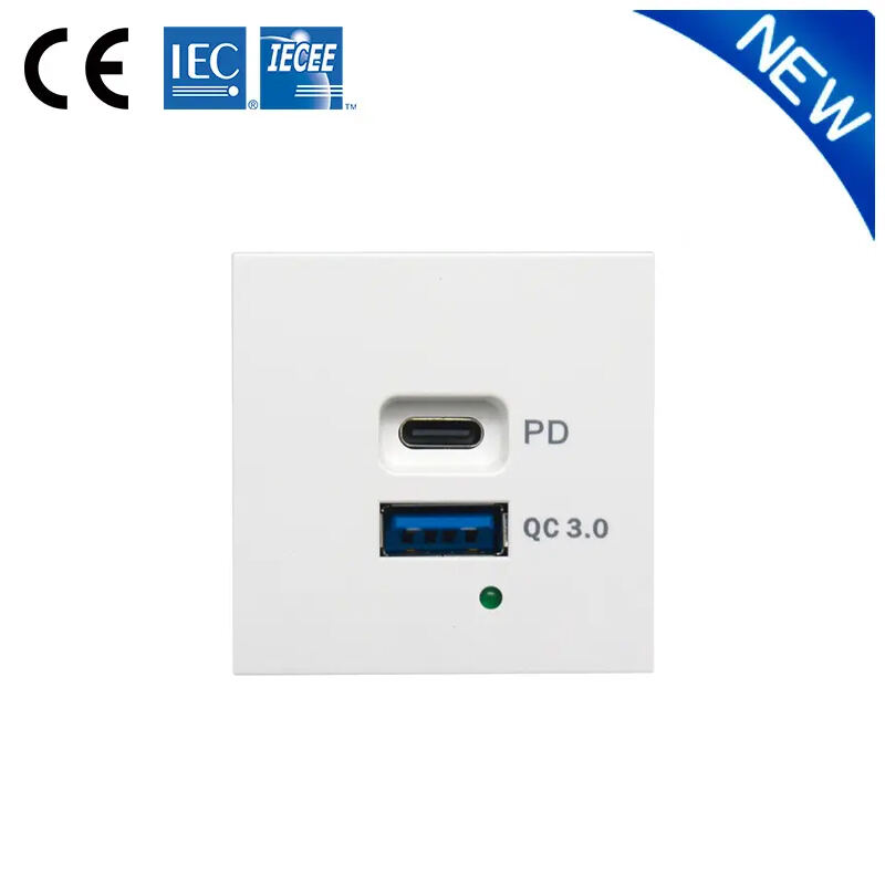 Modular Socket Dual Port Type A+C 65W with PD QC3.0 USB Charger F21-QC6