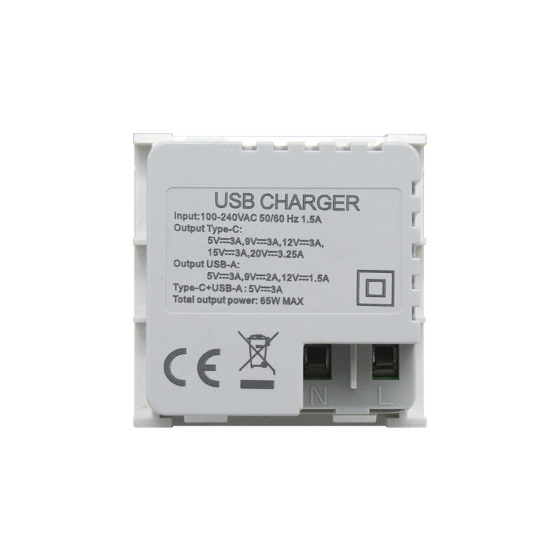 penyegera Modular USB Soket 65W Dual Port Type A+C dengan PD QC3.0 F21-QC6