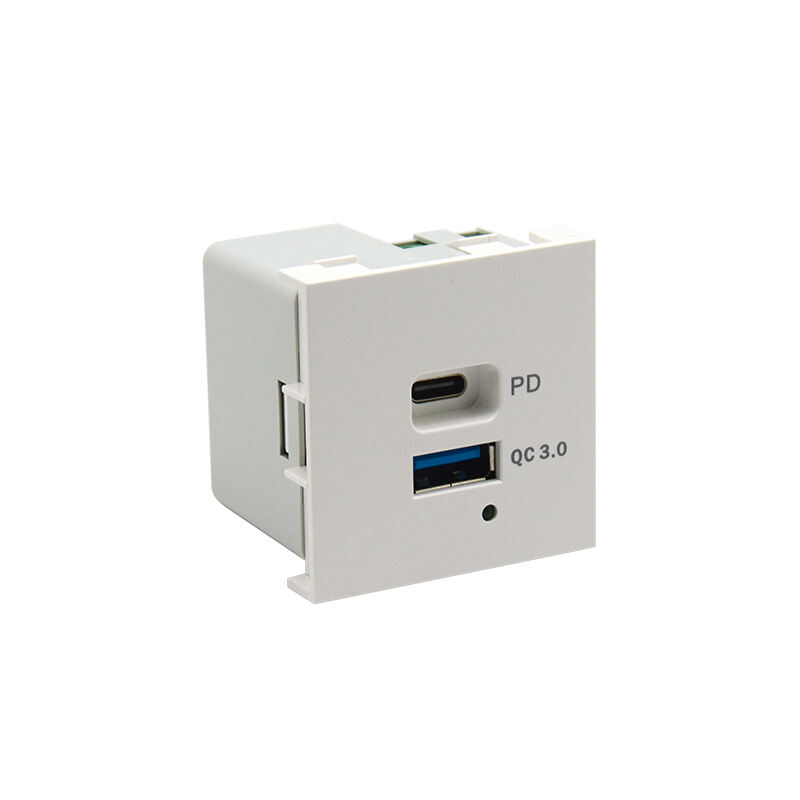 20W Dubbele Port Type A+C PD, QC3.0 Modulaire USB Oplader Socket F21-QC3
