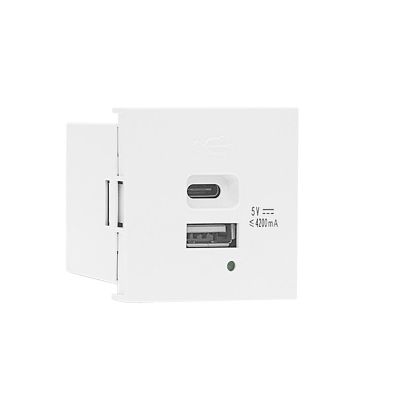 Modulaire Steekdoos Dubbele Poort Type A+C 21W (totaal) USB Oplader F21-C6