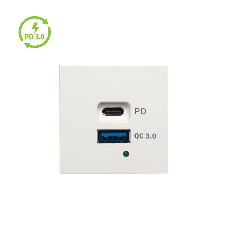 Modular Socket Dual Port Type A+C 20W PD, QC3.0 USB Charger F21-QC3