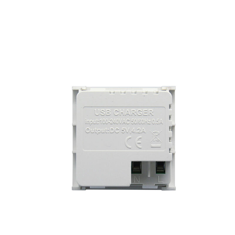 Modulaire Steekdoos Dubbele Poort Type C+C 21W USB Oplader F21-C9