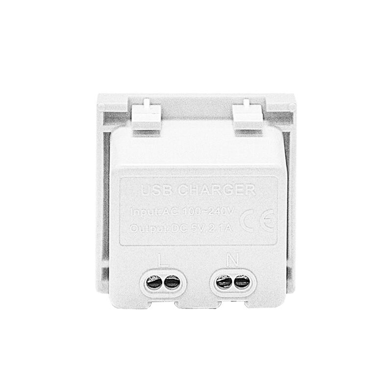 Modulair Soket Dubbele Poort Type A+C 10.5W (totaal) USB Oplader F21-C4