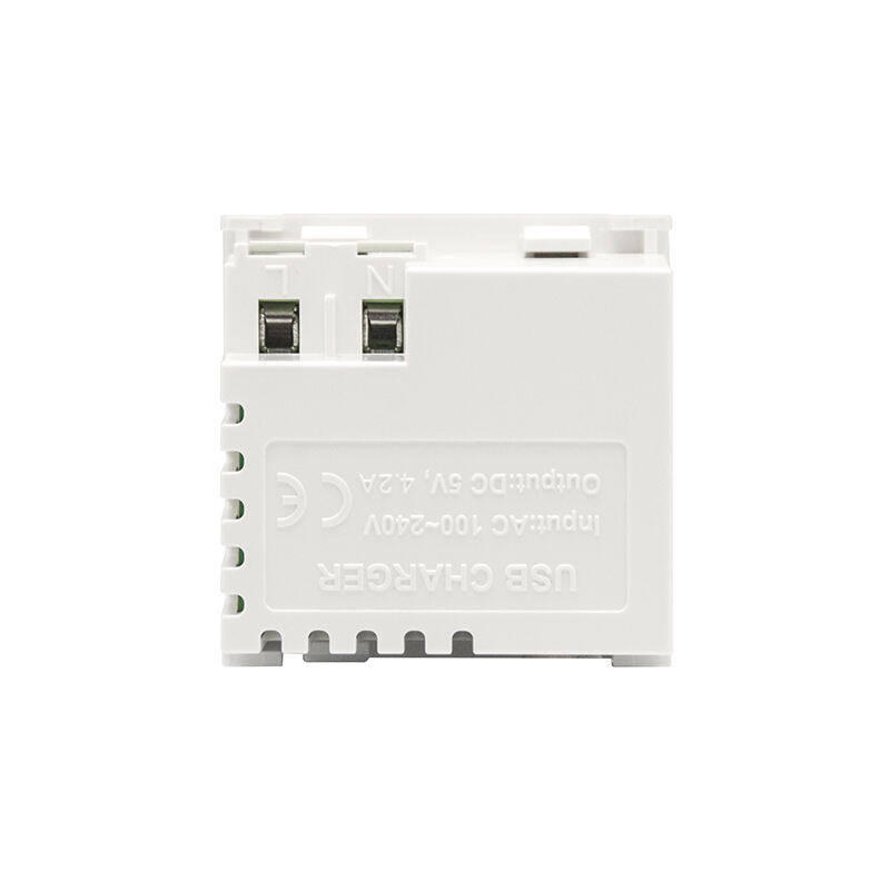 Modulair Soket Dubbele Poort Type A+A 21W (totaal) USB Oplader F21-C3 4.2A