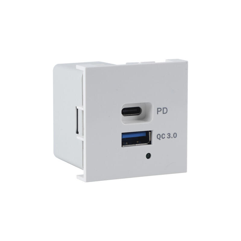 penyegera Modular USB Soket 65W Dual Port Type A+C dengan PD QC3.0 F21-QC6