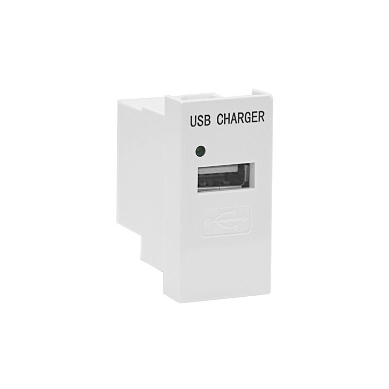 Modulair Soket Enkele Poort Type A 5W USB Oplader F21-C2