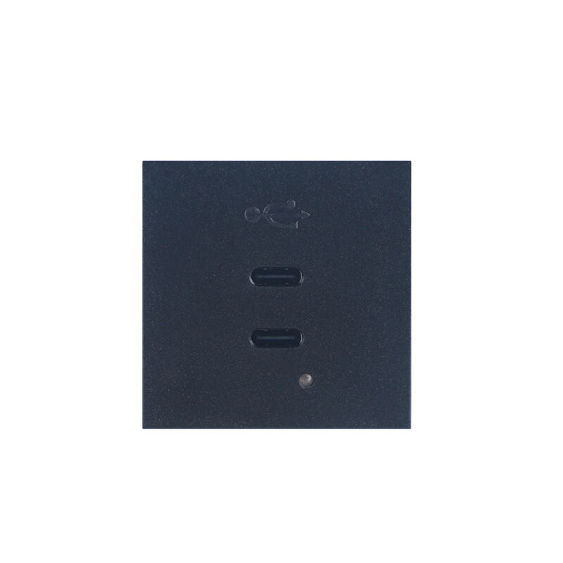 65W Dubbele Port Type C+C met PD Modulaire USB Oplader Socket F21-QC8