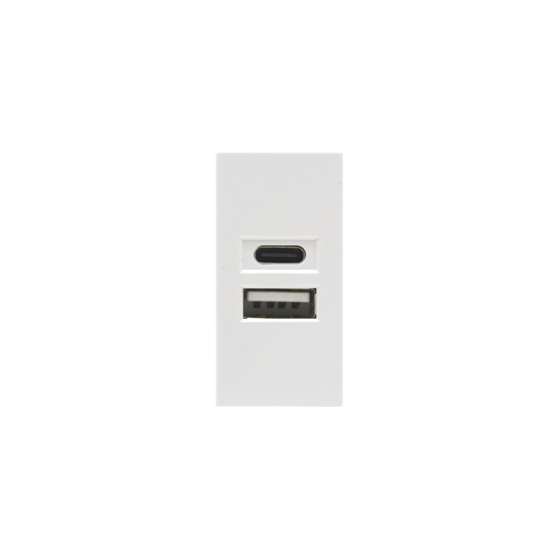 Dubbele Poort Type A+C 10.5W (totaal) F21-C2B